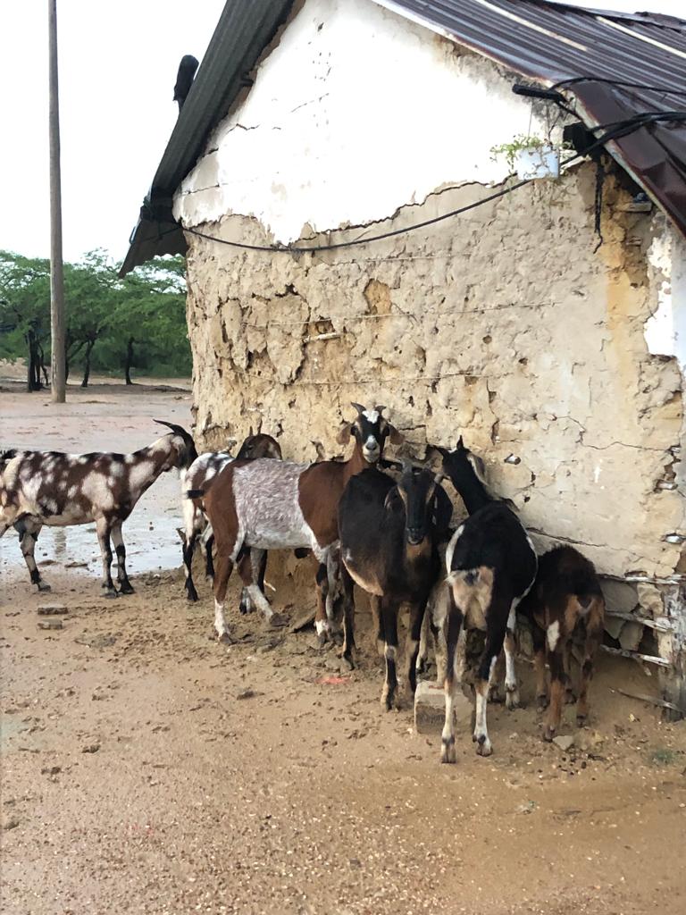 WhatsApp Image 2021-10-30 at 9.05.50 AM (1)