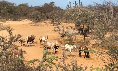 WhatsApp Image 2021-10-02 at 10.18.30 AM